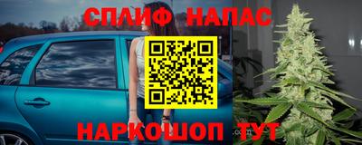 эйфоретик Аргун