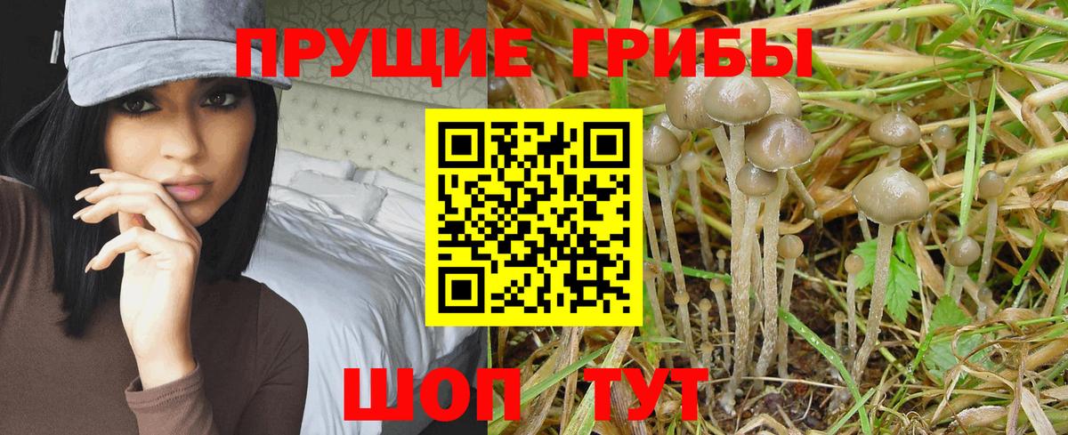 Галлюциногенные грибы ЛСД Гуково