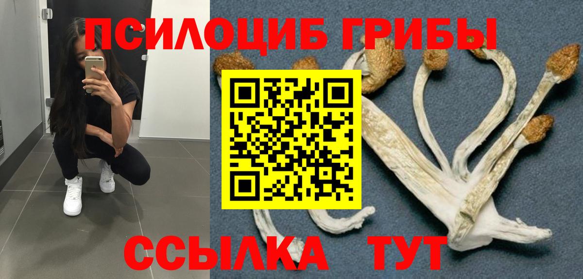 Псилоцибиновые грибы ЛСД  цены   Псилоцибиновые грибы Magic Shrooms  Гуково  Вход с VPN 